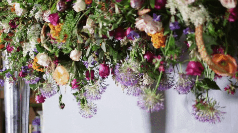 décoration florale giphy 2