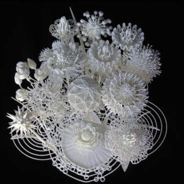 fleurs impression 3D blanc