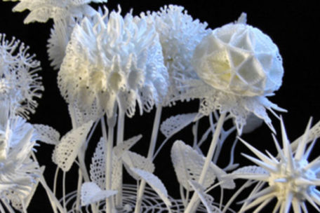 fleurs impression 3D